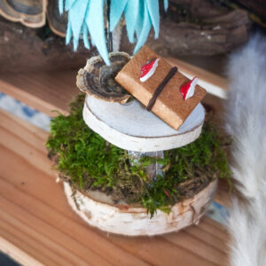 Brindille la sorcière