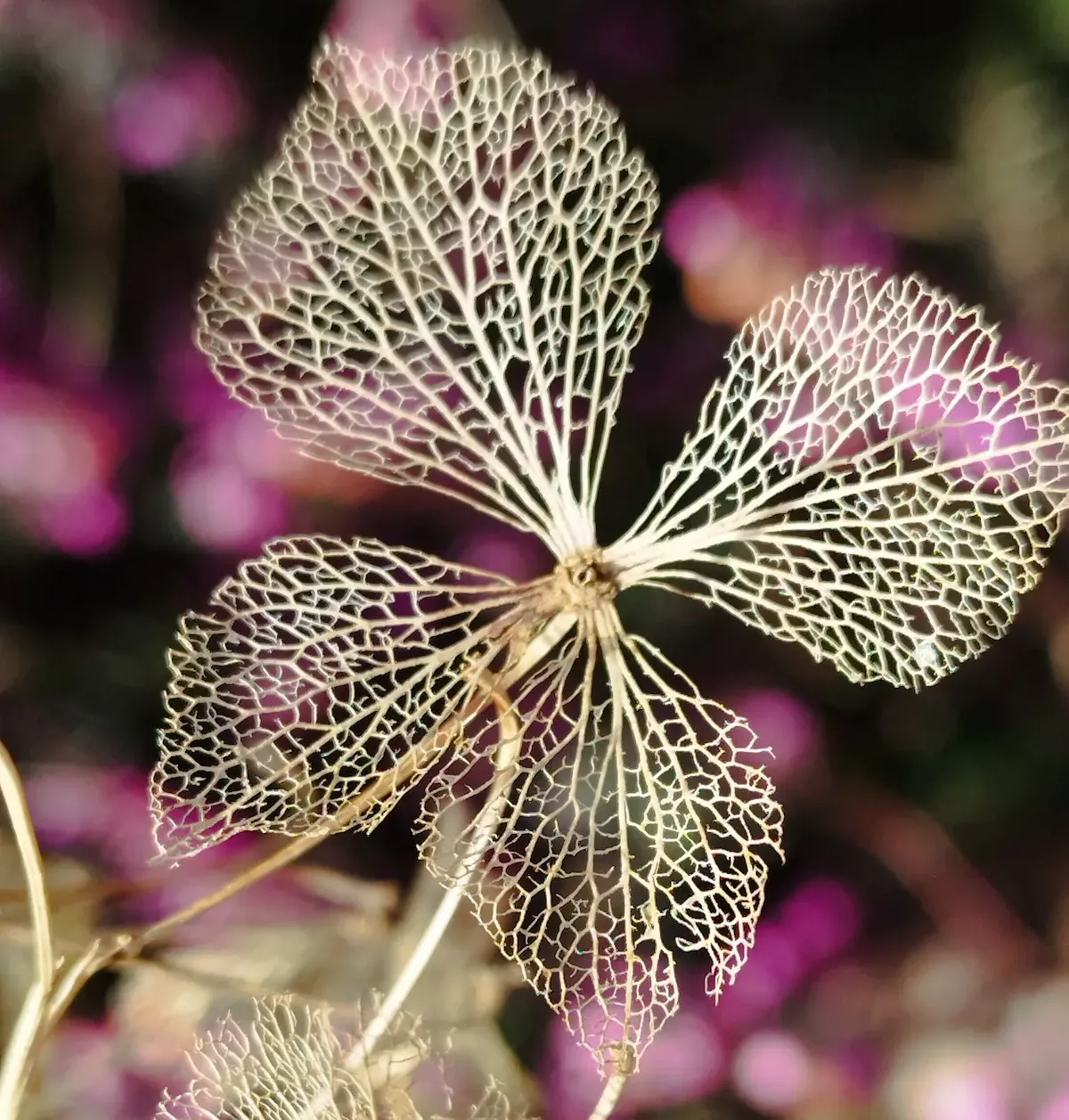 nature inspirante