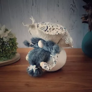 Gnome Papillons