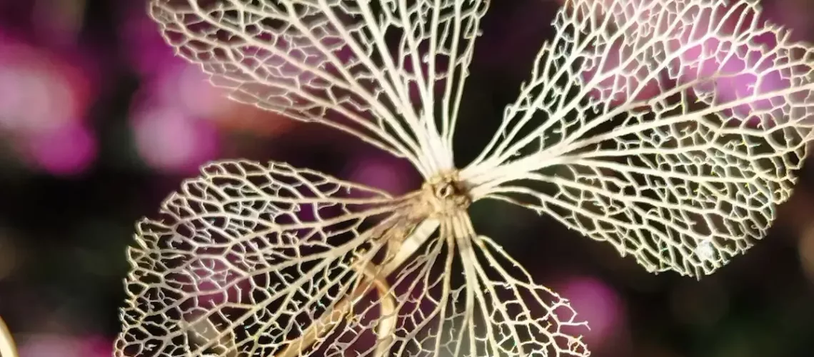 nature inspirante